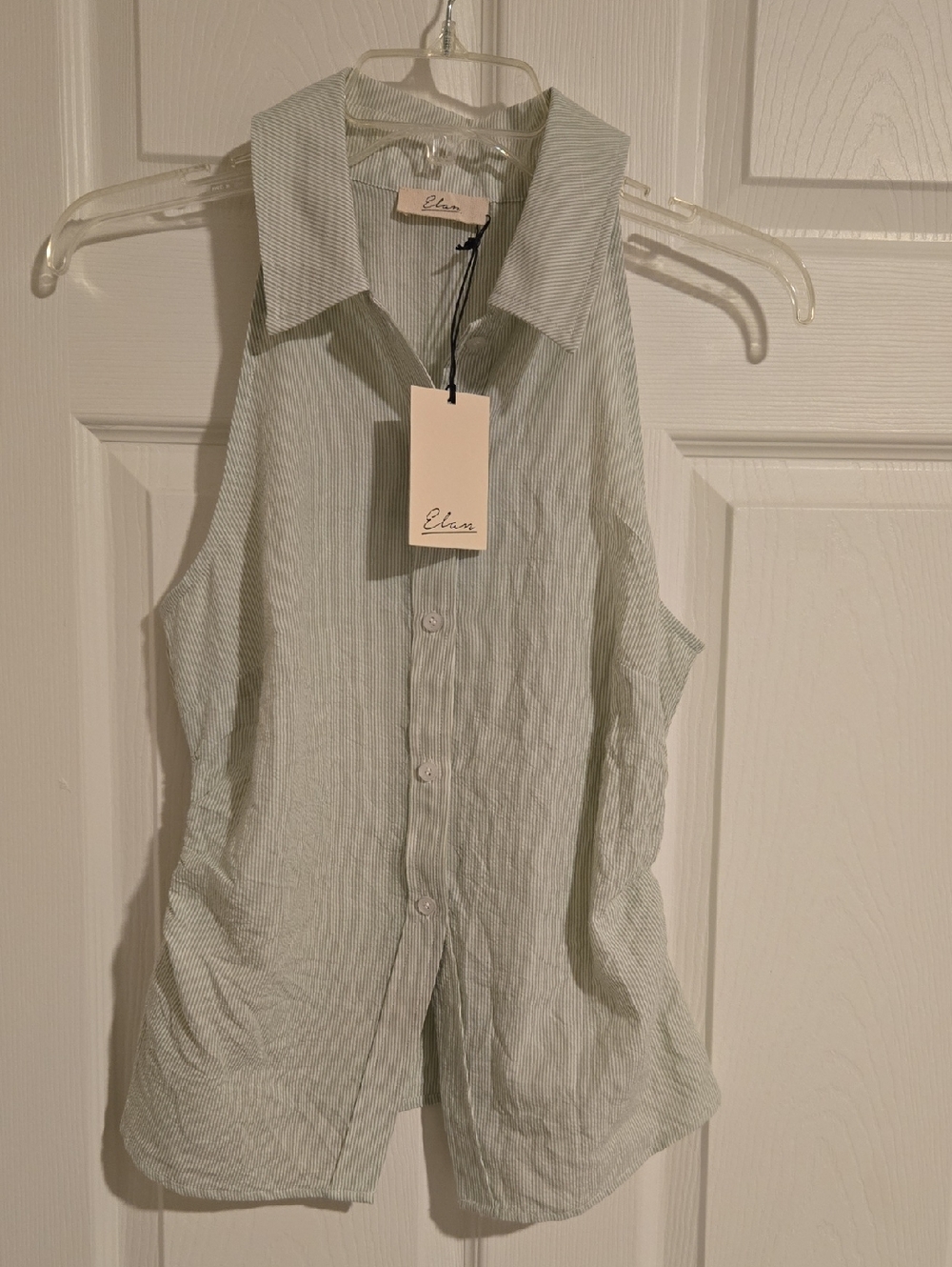 Elan Sleeveless Button-Down Shirt in Pale Green Stripe